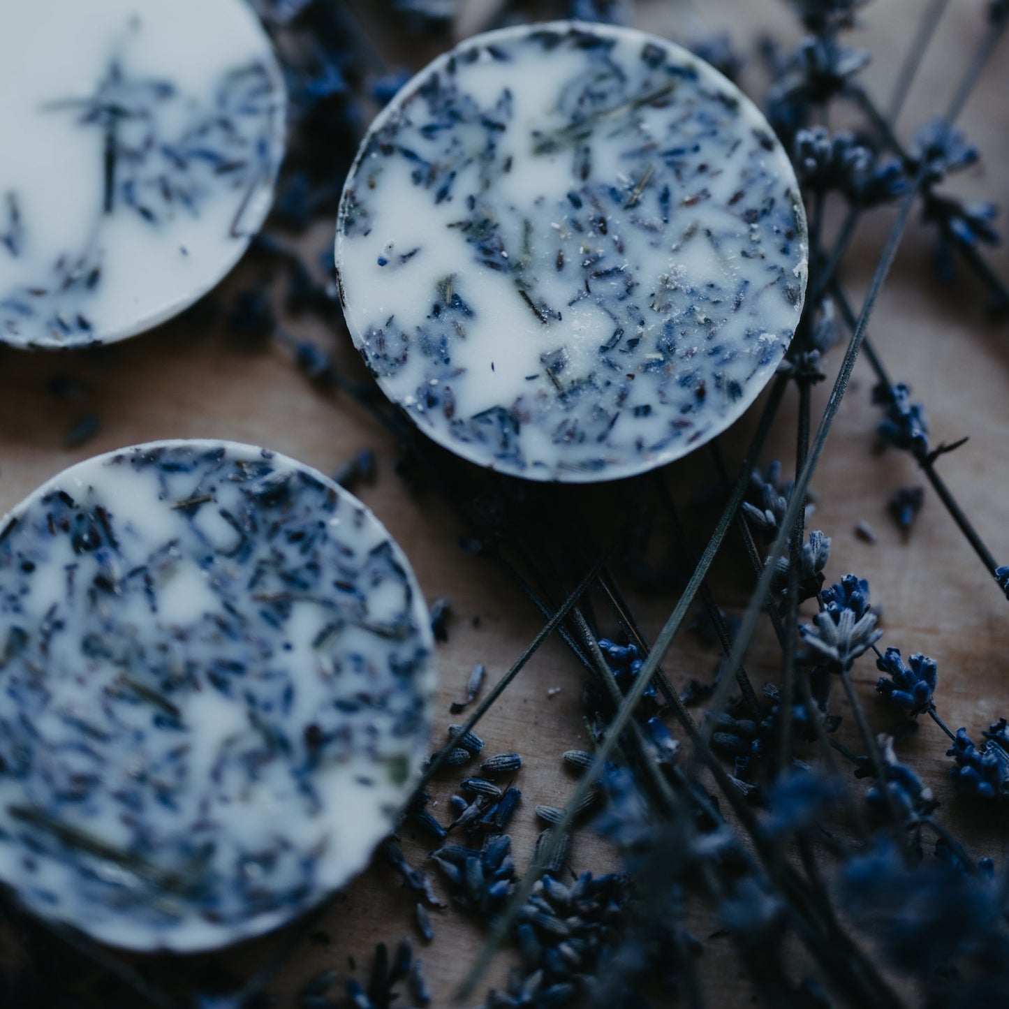 Lavender scented wax rounds