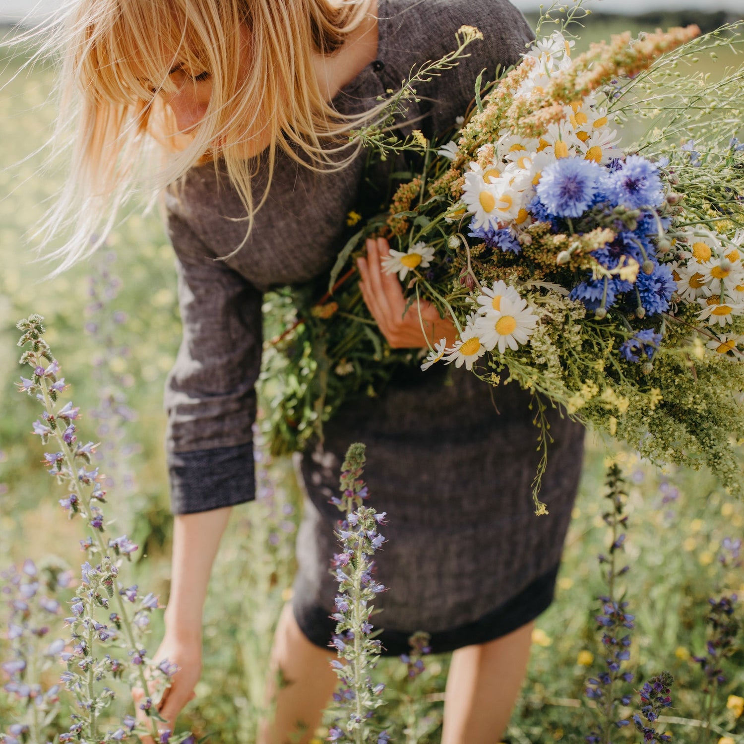 Wild flowers