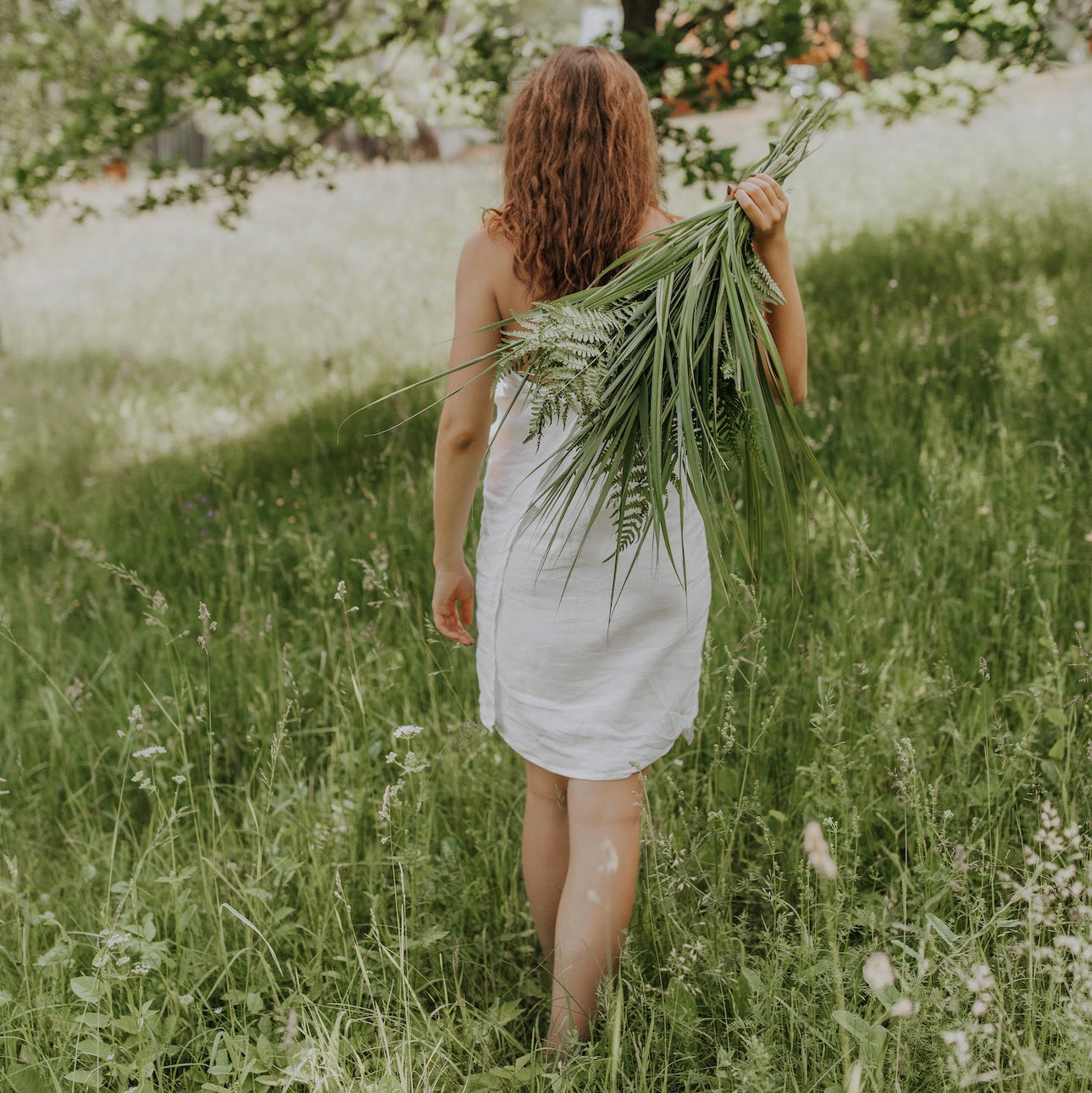 Green meadow diffuser