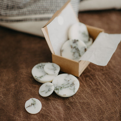 Moss scented wax rounds