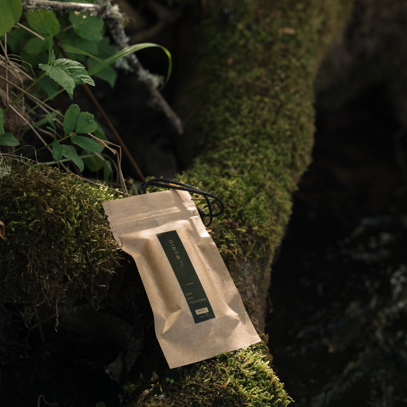 Moss wax bar freshener